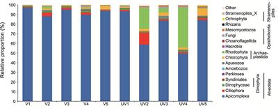 Seagrass Colonization Alters Diversity, Abundance, Taxonomic, and Functional Community Structure of Benthic Microbial Eukaryotes